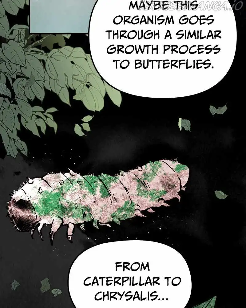 Blood and Butterflies Chapter 55 60